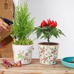 Sungmor Vintage Ceramic Planter Set of 2 - Decorative Indoor & Outdoor Flower Pots with Drainage Holes - Tuscan Décor Pots, 5.5" Ice Crackle Glaze Planters for Home, Kitchen, Patio, and Garden