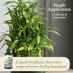 Professional Lucky Bamboo Fertilizer Liquid 3-1-2 Concentrate 8 oz, Premium Bamboo Plant Fertilizer Indoor Liquid, Bamboo Food for Indoor Plants, Fertilizer Made in USA