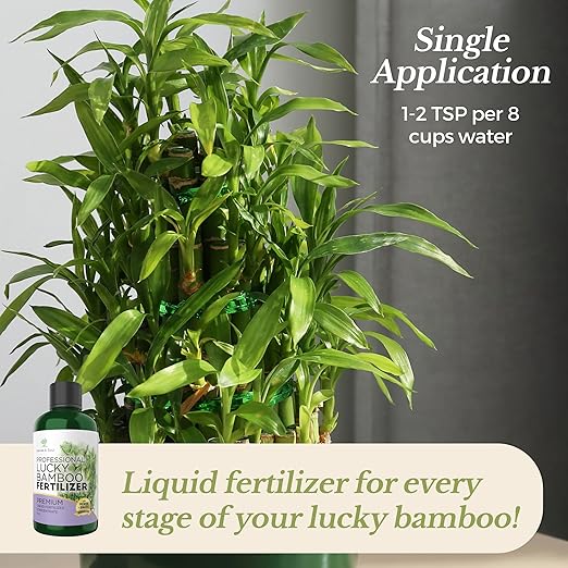 Professional Lucky Bamboo Fertilizer Liquid 3-1-2 Concentrate 8 oz, Premium Bamboo Plant Fertilizer Indoor Liquid, Bamboo Food for Indoor Plants, Fertilizer Made in USA