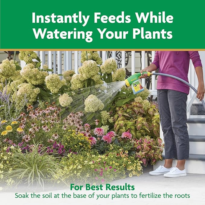 Miracle-Gro Water Soluble All Purpose Plant Food - Fertilizer For All Indoor or Outdoor Plants including Roses, Flowers, Vegetables, Houseplants, Trees, and Shrubs, 5 lb. Bag