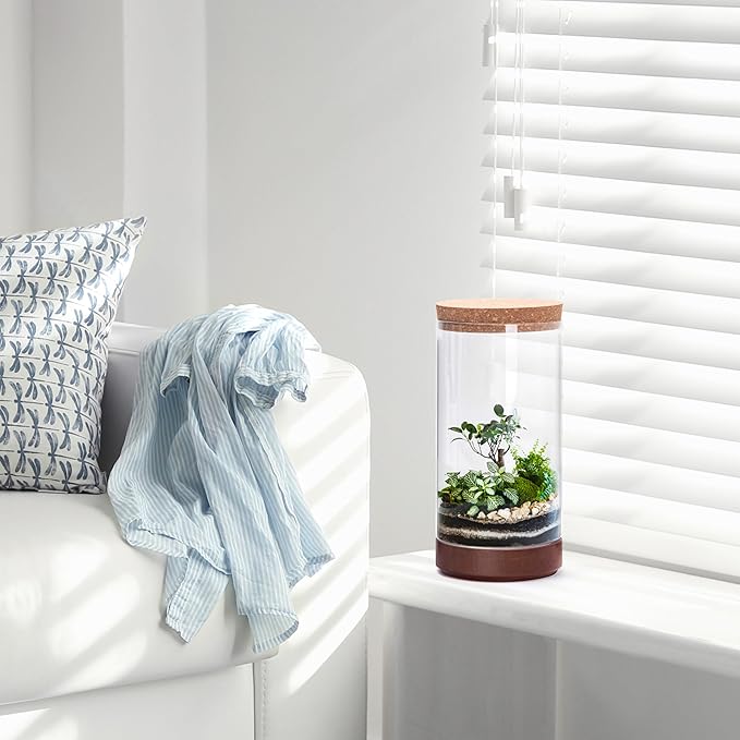 Clear Glass Houseplant Terrarium Planter, 6" W x 12" H, Cylindrical Terrarium with Wooden Base & Cork Lid | Versatile Tabletop Decoration for Home or Office or Hydroponics (Plant Not Included), 41-A-L