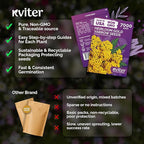 KVITER 7000 Gold Yarrow Seeds (Achillea Filipendulina) — Perennial Flower Seeds to Plant Outside, Heirloom & Organic — Native Wildflower Seed for Herb Garden, Beds, Containers & Meadows