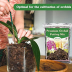 Orchid Potting Mix,1 Quart Premium Orchid Potting Mix for Repotting with Dried Forest Moss Perlite Stone Coco Peat and Pine Bark, Well-draining Orchid Bark Potting Mix
