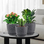 WSMKSZ Large Flower Pots 12/10/9 inch, Set of 3 Modern Decorative Plastic Planters with Drainage Holes and Saucers for Garden House Plants, Plant Pots for Indoor Outdoor Plants, Speckled White