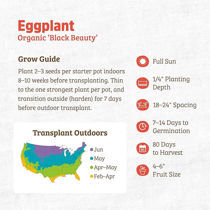 Back to the Roots - 100% Organic Seed Packet - Eggplant 'Black Beauty' 140mg (Pack of 2)