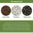 Soil Sunrise Terrarium Potting Soil Mix (8 Quarts) w/Blended Filtering Charcoal Custom Made for Terrariums