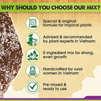 DUSPRO Recycle Tropical Potting Mix Pre-Mixed 5in1 with Pine Bark, Coco Coir, Perlite, Worm Casting & Pumice Ideal Aroid Mix Soil for Monstera, Pothos, Philodendron, Other Indoor HousePlants 8QRT