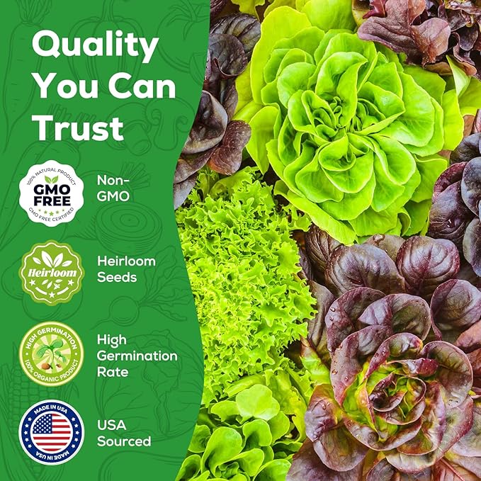 Heirloom Lettuce Seeds - 10 Varieties, Non-GMO Seeds for Planting - Includes Spinach, Kale, Arugula, Romaine, Iceberg, Buttercrunch & More, Home Garden & Hydroponic Seeds