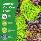 Heirloom Lettuce Seeds - 10 Varieties, Non-GMO Seeds for Planting - Includes Spinach, Kale, Arugula, Romaine, Iceberg, Buttercrunch & More, Home Garden & Hydroponic Seeds