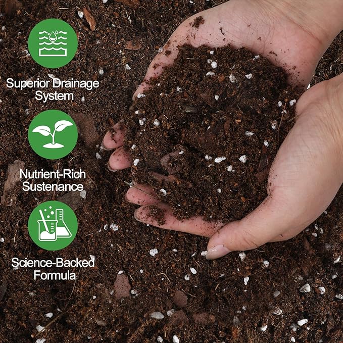 All-Natural Money Tree Soil & Indoor Potting Mix 4QT - Drainage-Enhanced Plant Soil for Healthy Indoor Plants