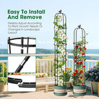 Garden Trellis for Climbing Plants Outdoor, 6.2ft Tall Garden Obelisk Trellis Climbing Plant Support Potted Vine Flower Rose Clematis Vegetable Pea Bean Cucumber Trellis Raised Bed, 2 Pack