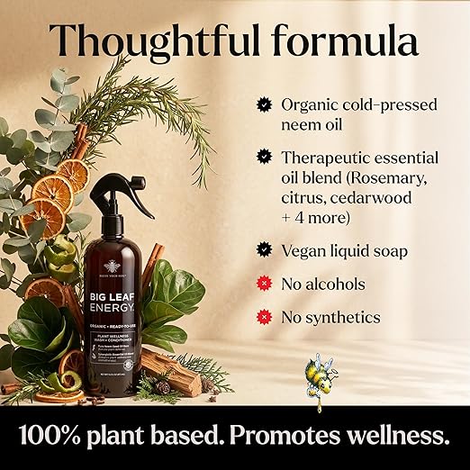 Neem Oil Spray for Plants – Big Leaf Energy, with Essential Oils – Ready-to-Use Plant Spray for Outdoor & Indoor Plants, Made in USA (16 fl oz)