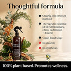 Neem Oil Spray for Plants – Big Leaf Energy, with Essential Oils – Ready-to-Use Plant Spray for Outdoor & Indoor Plants, Made in USA (16 fl oz)