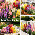 LUOJIBIE Snapdragon Seeds, 50,000+ Tetra Mix Snapdragon Seeds for Planting (Antirrhinum Majus) Fairy Bouquet Blend, Non-GMO Heirloom Annual Flower Garden Seeds Bulk for Outdoor & Indoor