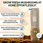 MycoHaus Mushroom Growing Kit | Sterilized Rye Grain | Magic Indoor Grow Bags for Mushrooms | Shroom Home Cultivation Magic Supplies | Without Spores | Without Injection Ports | 2 Pound (4 Pack)