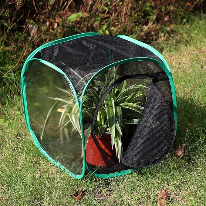 RESTCLOUD Insect and Butterfly Habitat Cage Terrarium Pop-up 12 X 12 X 12 Inches