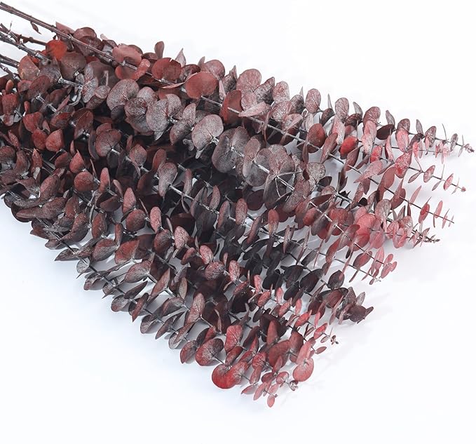 Tavkite 16 Pcs Dried Eucalyptus Stems, 17'' Natural Fresh Eucalyptus Leaves Branches Hanging for Shower, Preserved Real Red Plant Live Greenery for Home SPA Wall Bathroom Wedding Party Vase Decor
