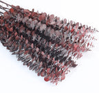 Tavkite 16 Pcs Dried Eucalyptus Stems, 17'' Natural Fresh Eucalyptus Leaves Branches Hanging for Shower, Preserved Real Red Plant Live Greenery for Home SPA Wall Bathroom Wedding Party Vase Decor