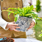 Sungmor 6.5 Inch Cement Plant Pot for Plants, Succulent Planter with Embossed Design, Vintage Concrete Flowerpots with Drainage Hole, Decorative Orchid Houseplant Pot Indoor Outdoor Plant Container