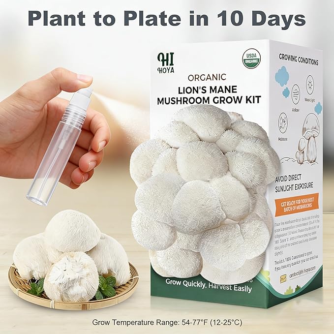Lions Mane Mushroom Grow Kit - Organic Edible 4 lbs Mushroom Growing Kit, Grow Your Own Lion’s Mane Mushroom at Home, Handmade in USA, Non-GMO, Holiday Gardening Gift