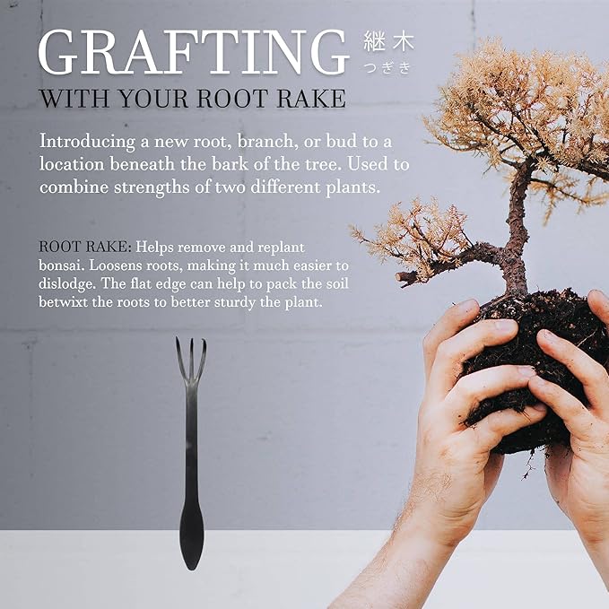 BambooMN Bonsai Root Rake Tool - 10 Pieces
