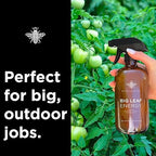 Big Leaf Energy, Neem Oil Concentrate + Essential Oils for Plants and Leaf Care - Organic, Non-GMO, Ready to Mix, Multi-Purpose Leaf Wellness (Makes 32-90 gallons)