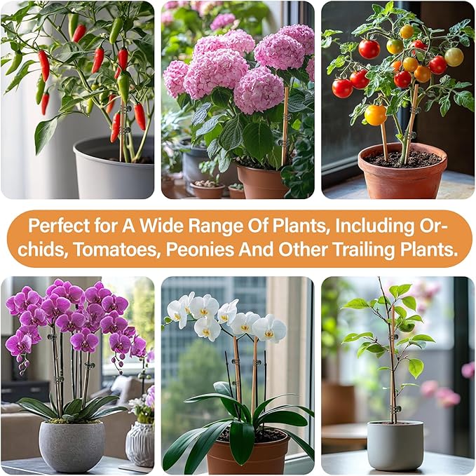 RAINFLOW 200 PCS Plant Clips Orchid Clips - Plant Support Clips for Indoor Plants, Small Plastic Garden Trellis Clips for Plant Stakes, Climbing Vine Stem Support, Orchid Plant Training Upright Growth