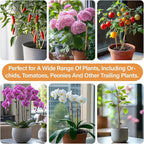 RAINFLOW 200 PCS Plant Clips Orchid Clips - Plant Support Clips for Indoor Plants, Small Plastic Garden Trellis Clips for Plant Stakes, Climbing Vine Stem Support, Orchid Plant Training Upright Growth