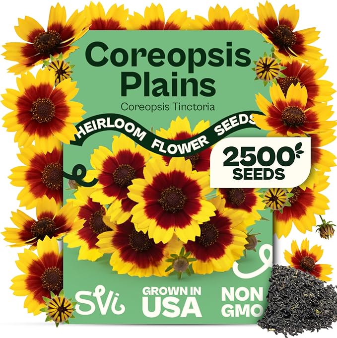 SVI 2500 Plains Coreopsis Seeds (Coreopsis Tinctoria) - Golden Tickseed, Yellow-Red Blooms, Annual Wildflowers, Heirloom Seed in Seed Packets - Flower Seeds for Outdoor Garden, Meadows, Flowers Beds