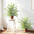 2 Pack Artificial Fern Plants in Pots Artificial Boston Ferns Potted Plants Faux Fern Bush Plant Shrubs Greenery for Outdoor Indoor Porch Patio Farmhouse Garden Living Room Office Table Decor (Type 5)