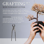 BambooMN 7.5" Root Cutter Tool - 1 Piece