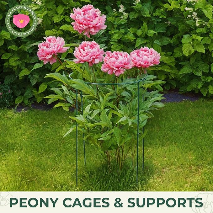 LEOBRO Plant Support, 8 PCS Peony Cages and Supports, Metal Plant Stakes, Plant Supports for Indoor Plants, Outdoor Plants, Monstera Hydrangea Support Cage, 10" W x 24" H