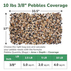 GreatBuddy 10-lb Pebbles for Indoor Plants, 3/8" Pea Gravel for Vases, Small Rocks for Succulents, Fish Tanks, Aquariums, Terrarium, Drainage Pebbles for Potted Plants, River Rocks for Landscaping