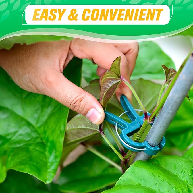 DIMROM Tomato Plant Support Clips – 60 Pcs Reusable Plastic Garden Clips in 2 Sizes for Upright Growth of Vegetables, Flowers & Vines