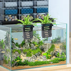 Aquarium Plant Holder 4 PCS Hanging Aquatic Plant Pot with 24 Hooks and 20 Suction Cups for Fish Tank Aquarium Planter and Aquascape Decorations (Black)
