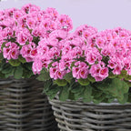 CITYES 3 Pcs Artificial Geraniums Flowers Silk Geraniums for Outdoors UV Resistant Purple Pink Artificial Geranium Bush Faux Flowers Plant Geraniums for Garden Home Decor Patio Vase Table Centerpiece