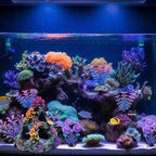 GSD Aquarium Colorful Coral Reef Set Fish Tank Decoration Mountain Ornament for Aquarium Environments Decor Accessories, Coral Mountain x 1, Aquatic Plant x 4