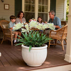 Outdoor Artificial Flowers for Porch 18.9 in Fake Plants 8 Bundles Plastic White Flower Large Faux Greenery for Outside Planter Yard Patio Decor