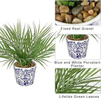 Hollyone Large Artificial Potted Plants Fake Palm Plants 13" Faux Green Plant Plastic Tropical Palm Tree in Blue and White Porcelain Ceramic Pots for Home Room Office House Indoor Decoration