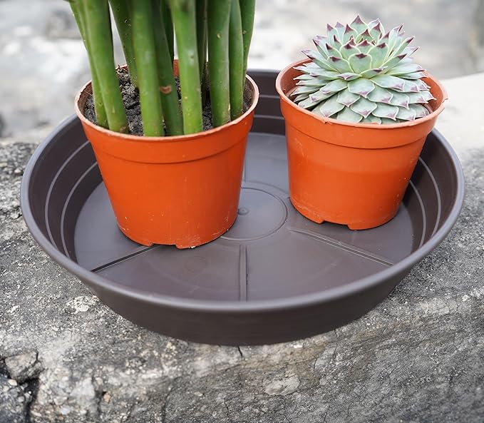 LWALRS Plant Saucer 14 Inch 2 Pack 6 8 10 12 14 16 18 20 25, Plastic Plant Trays for Pots，Extra-Deep Plant Water Dray Tray, Bird Bath Bowl, Heavy Flower Plant Saucers Indoors and Outdoor No Holes