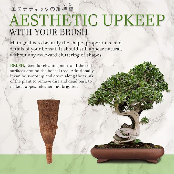 BambooMN 6" Brush Tool - 1 Piece