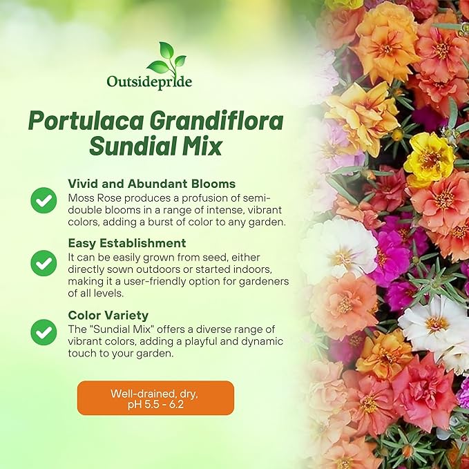 Outsidepride Sundial Mixed Moss Rose Seeds - 250 Pcs Annual, Drought & Heat Tolerant, Pollinator Friendly Ground Cover Seeds for Planting w/Vibrant Blooms & Succulent Foliage, Ideal for Xeriscaping