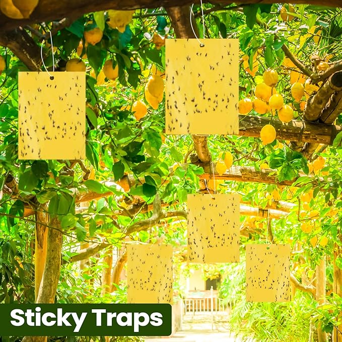 Qualirey 20 Pcs 6x8 Inch Yellow Sticky Traps for Gnats, Dual-Sided Sticky Gnat Traps for Indoor Outdoor Plants, Pest Control for Fungus Gnats, Fruit Flies, Whiteflies with Twist Ties
