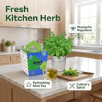 Mint Grow Kit, All-in-One Indoor Herb Garden Kit with Planter, Soil & Seeds, Easy DIY Planting Kit for Kitchen, Grow Your Own Fresh Mint for Tea & Drinks, Beginner Friendly Gardening Gift