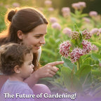 KVITER 150 Showy Milkweed Seeds (Asclepias Speciosa) - Greek Milkweed, Perennial Wildflower, Pink-Purple Blooms, Butterfly Magnet - Flower Seeds in Seed Packets for Outdoor Gardens and Borders