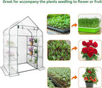 Heyfurni Walk in Greenhouse with 3 Tier 6 Shelves,2 More Bottom Shelves Reinforced Plant House, Growhouse/Green House for Outdoor,PE Cover 143x73x195cm