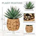 Briful Succulents Plants Artificial for Home Decor, Realistic Potted Fake Agave Plant in Wicker Basket, Cute Aloe Maguey Faux Plant, Shelf Tables Decor, Modern Farmhouse Home Decorations