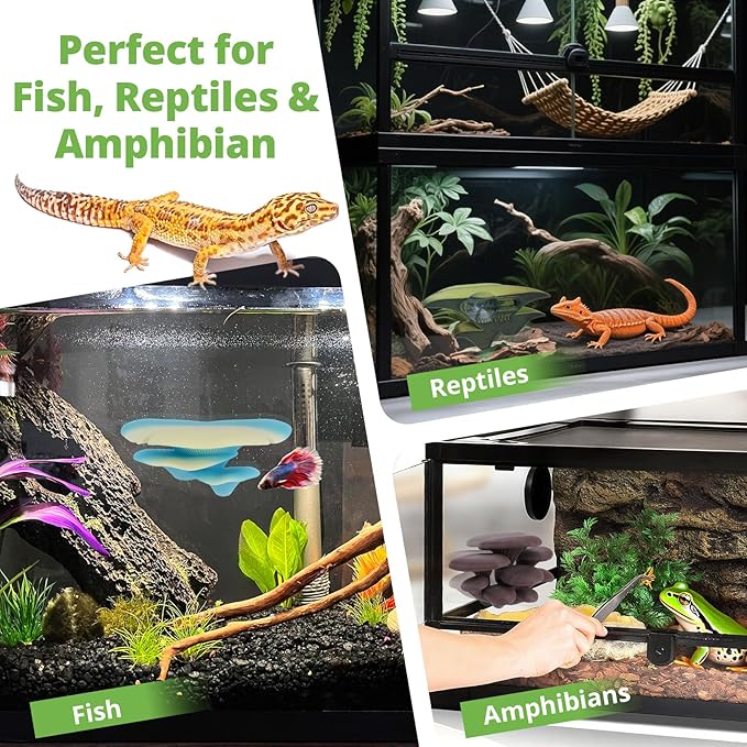 Westant Mushroom Decor for Reptile Tank, Fish Tank, Pet-Safe Bearded Dragon Tank Accessories, Realistic Terrarium Plants for Leopard Geckos, Frogs, Snakes (Rainbow Cluster Cap, Randomly Ship)