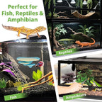 Westant Mushroom Decor for Reptile Tank, Fish Tank, Pet-Safe Bearded Dragon Tank Accessories, Realistic Terrarium Plants for Leopard Geckos, Crested Geckos, Tree Frogs, Snakes (Almond, Trio Cap)