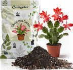 All-Natural Christmas Cactus Potting Soil Mix 10qt- Premium Well-Draining & Aerated ，Designed Specifically for Succulents and Cacti